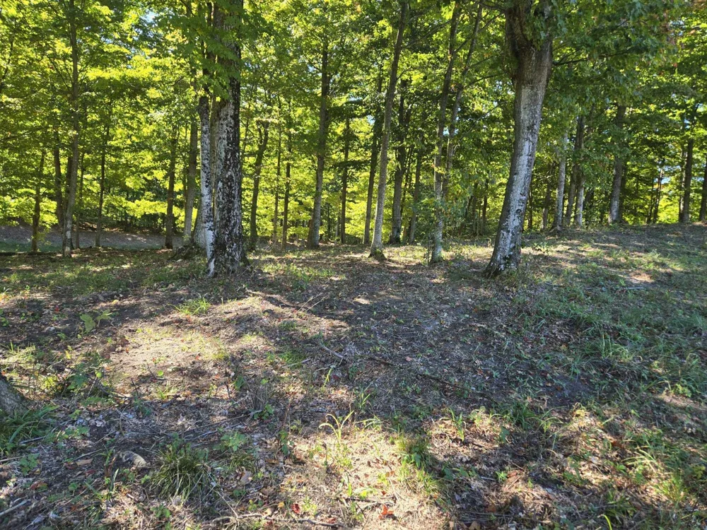 23 Heather Ridge Trail Homestead Township, MI 49617