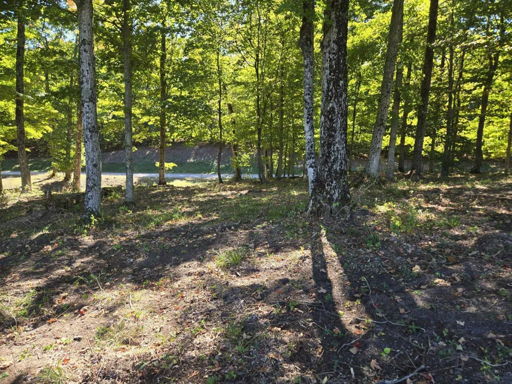23 Heather Ridge Trail Homestead Township, MI 49617