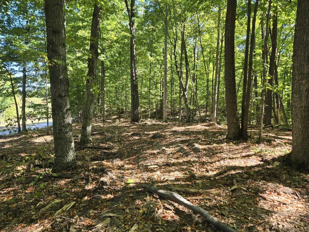 4 Heather Ridge Trail Homestead Township, MI 49617