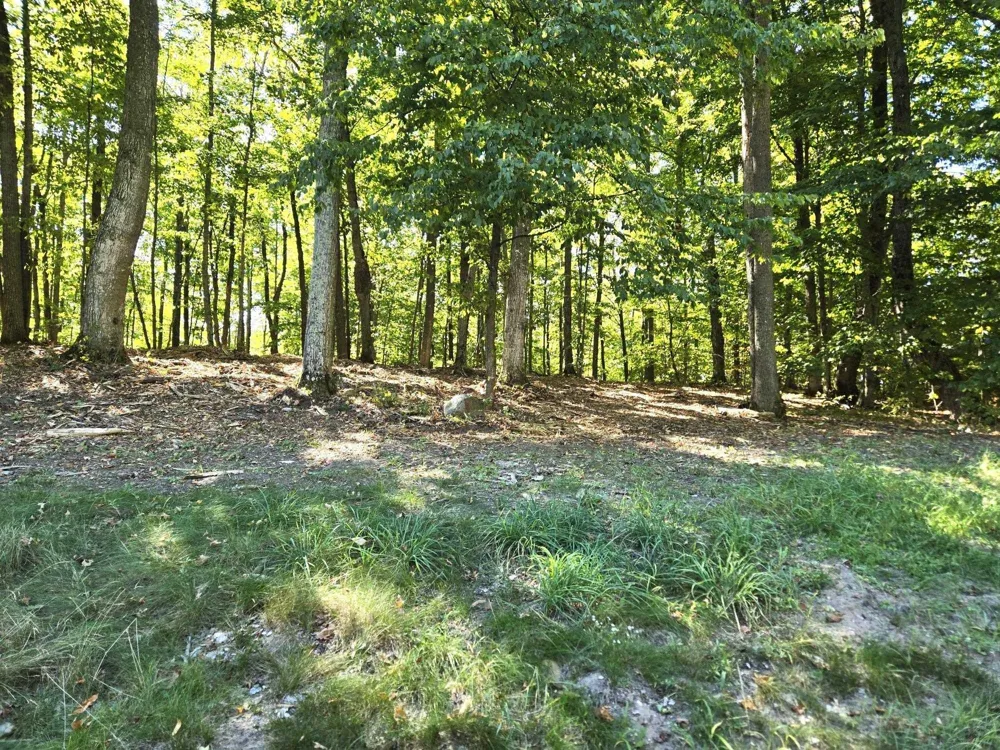 4 Heather Ridge Trail Homestead Township, MI 49617