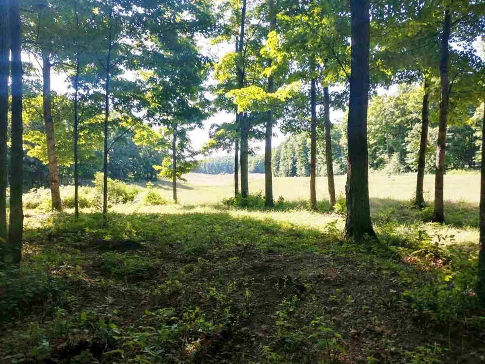 4 Heather Ridge Trail Homestead Township, MI 49617