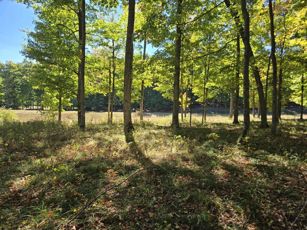 24 Heather Ridge Trail Homestead Township, MI 49617