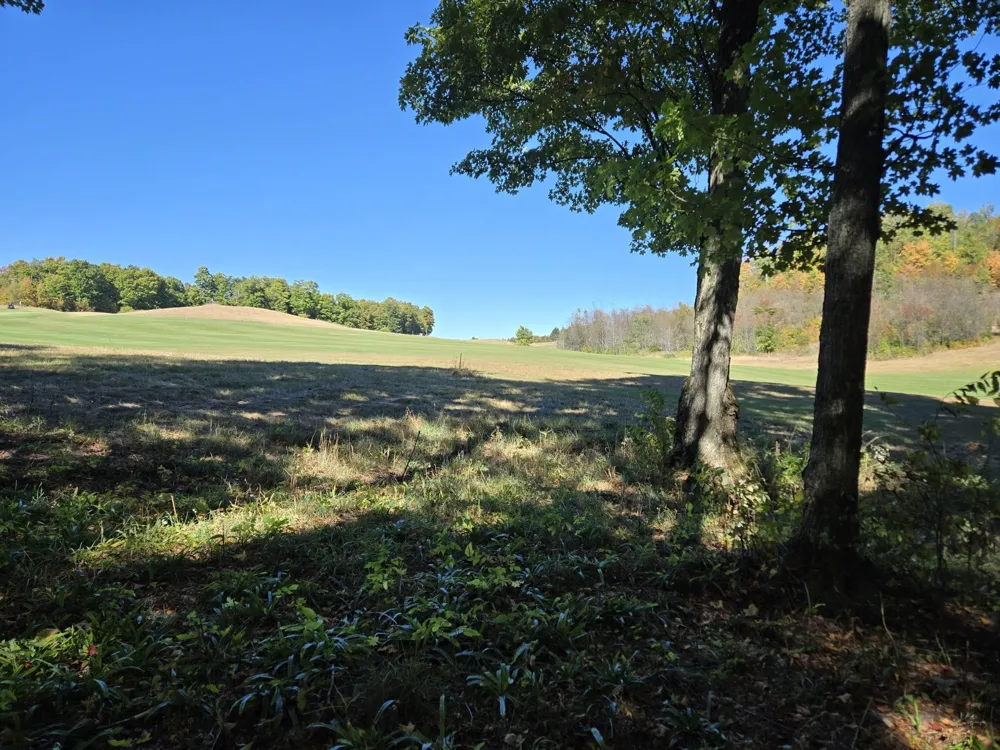 24 Heather Ridge Trail Homestead Township, MI 49617