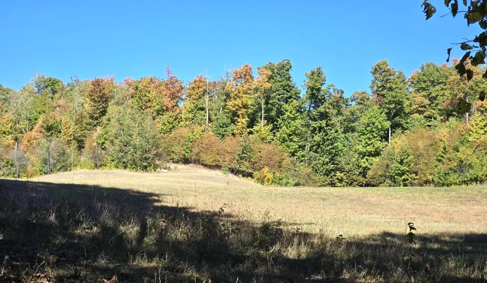 24 Heather Ridge Trail Homestead Township, MI 49617