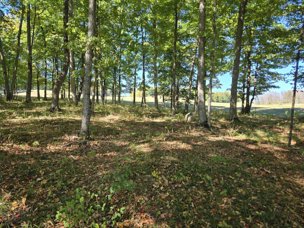 24 Heather Ridge Trail Homestead Township, MI 49617
