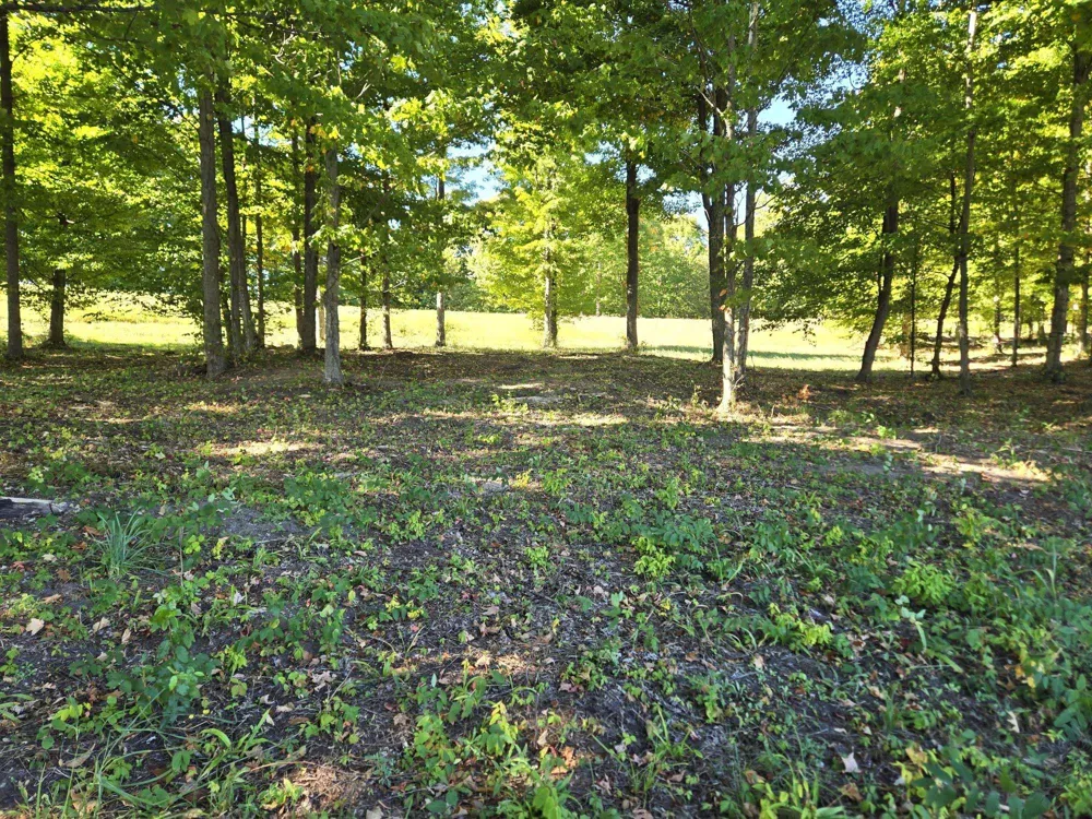 19 Heather Ridge Trail Homestead Township, MI 49617