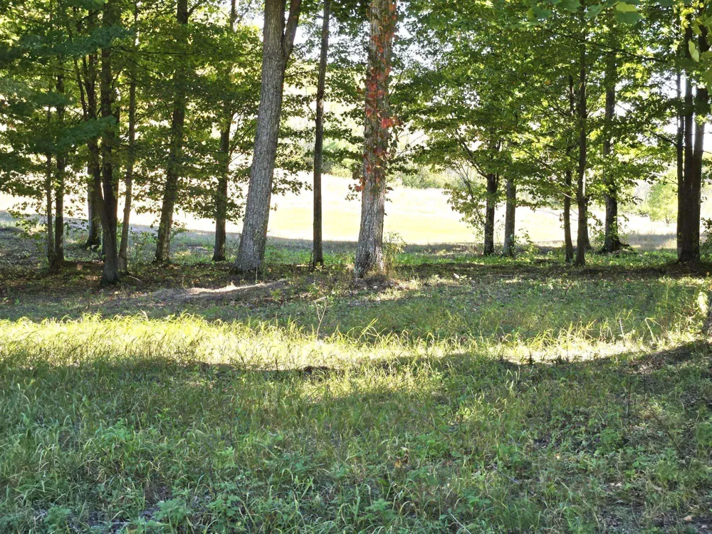 19 Heather Ridge Trail Homestead Township, MI 49617