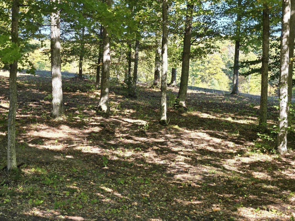 18 Heather Ridge Trail Homestead Township, MI 49617