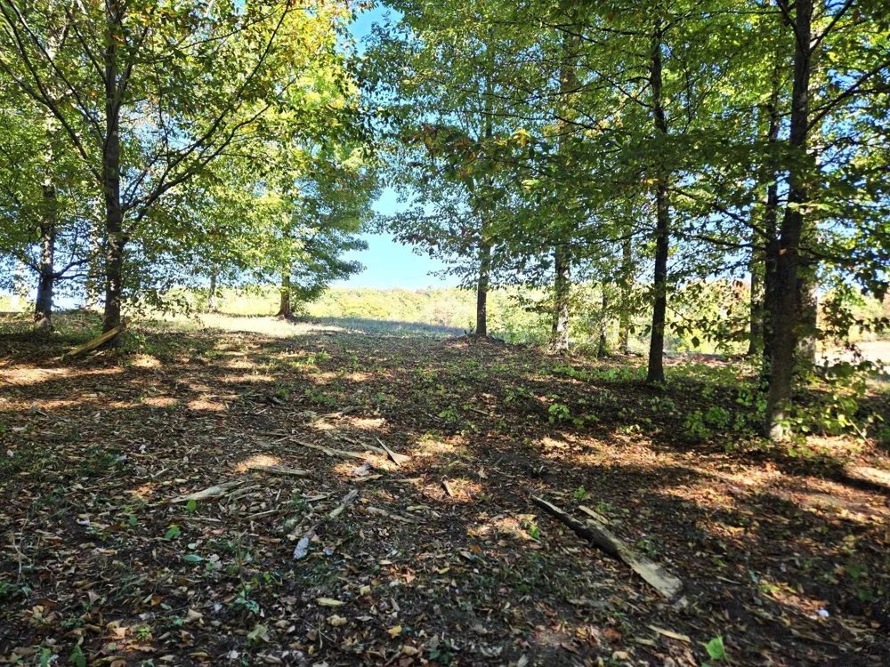 18 Heather Ridge Trail Homestead Township, MI 49617