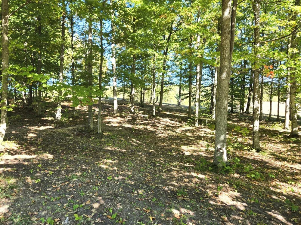 18 Heather Ridge Trail Homestead Township, MI 49617