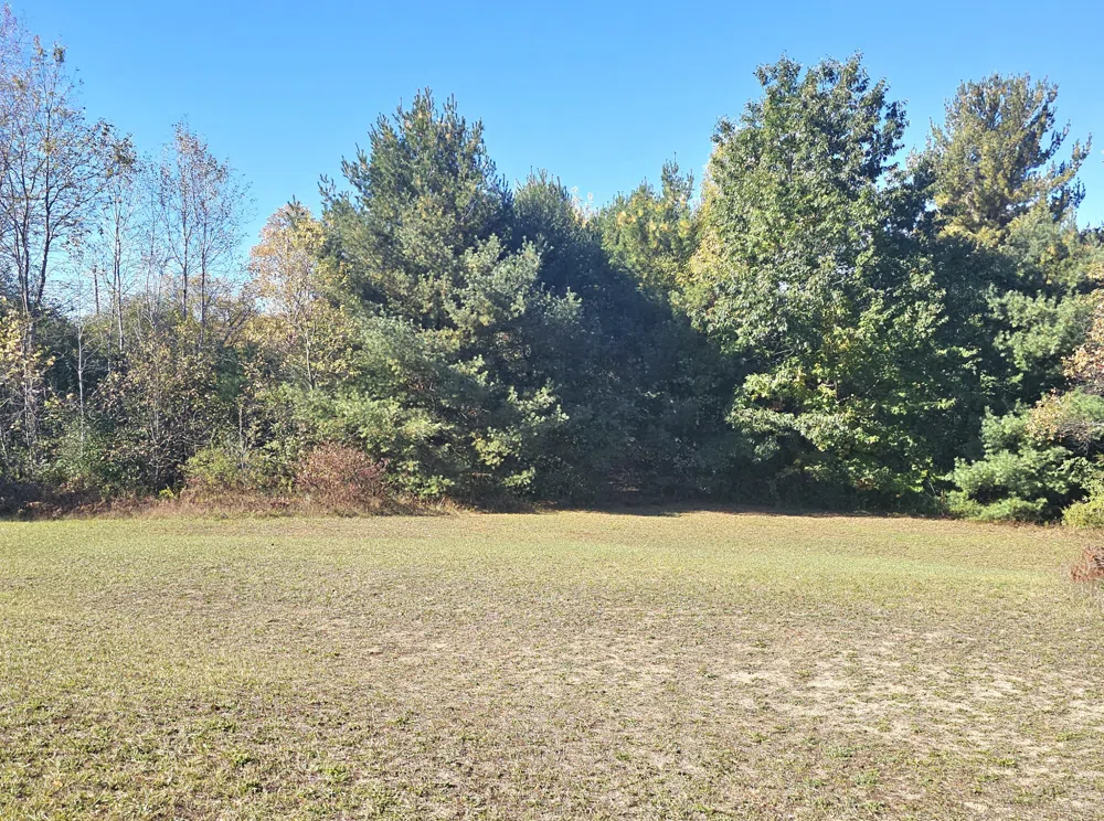 8091 Goebel Road South Arm Township, MI 49727