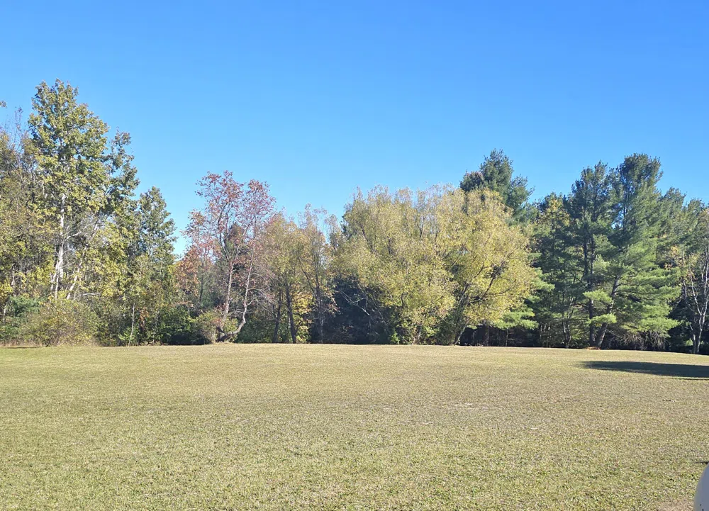 8091 Goebel Road South Arm Township, MI 49727