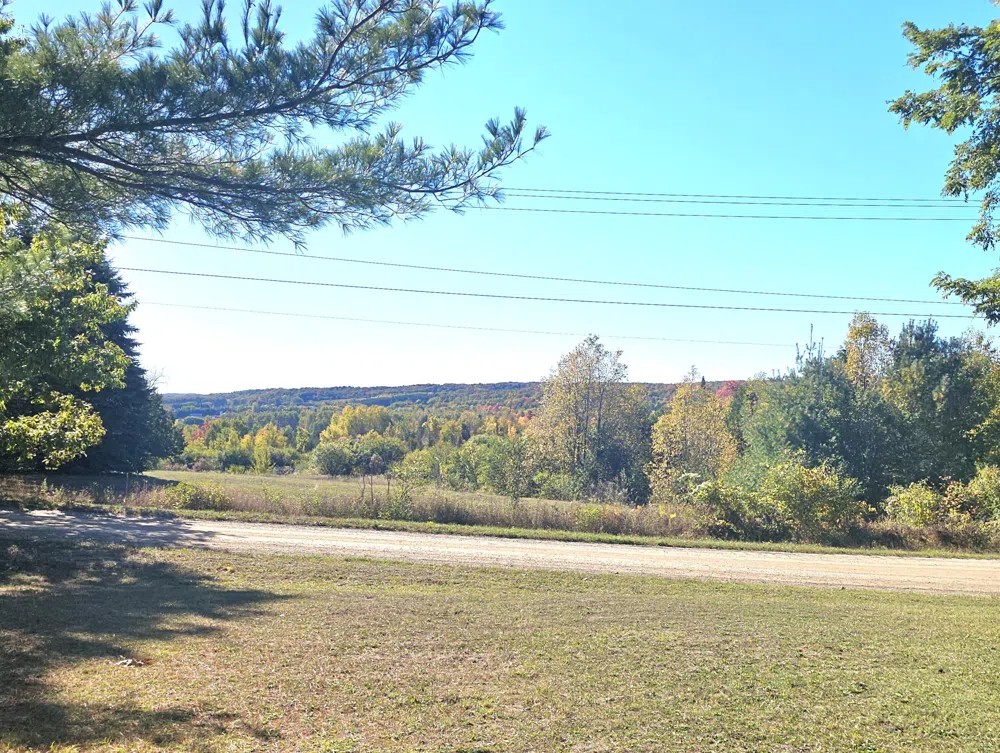 8091 Goebel Road South Arm Township, MI 49727
