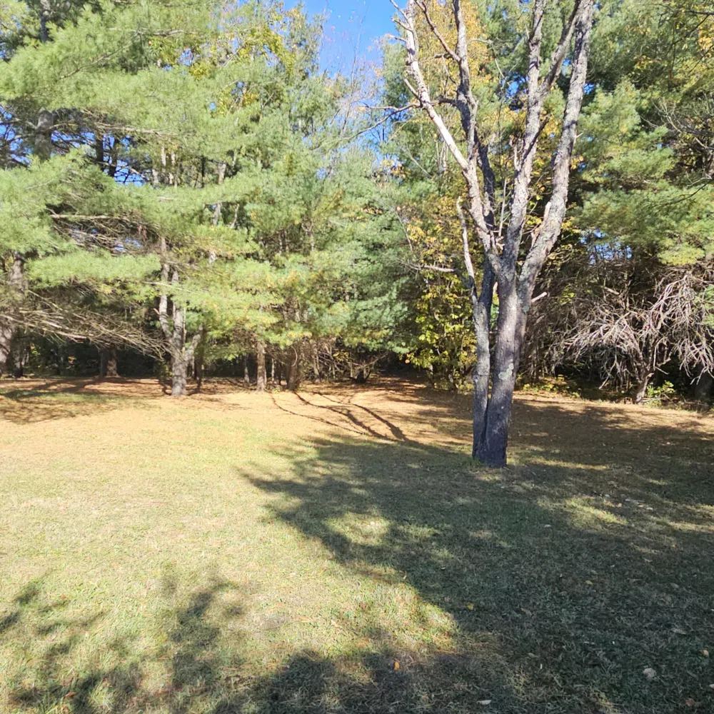 8091 Goebel Road South Arm Township, MI 49727