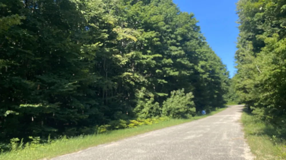 Forestgrove Court Star Township, MI 49730