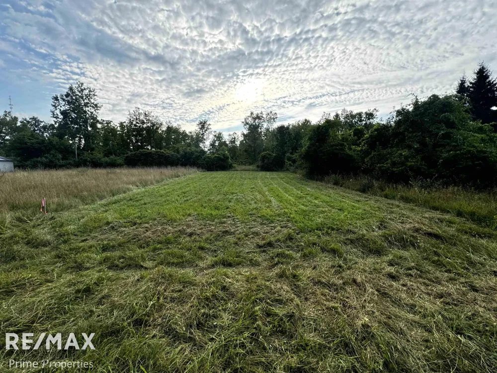 Sylvia Drive Worth Township, MI 48450