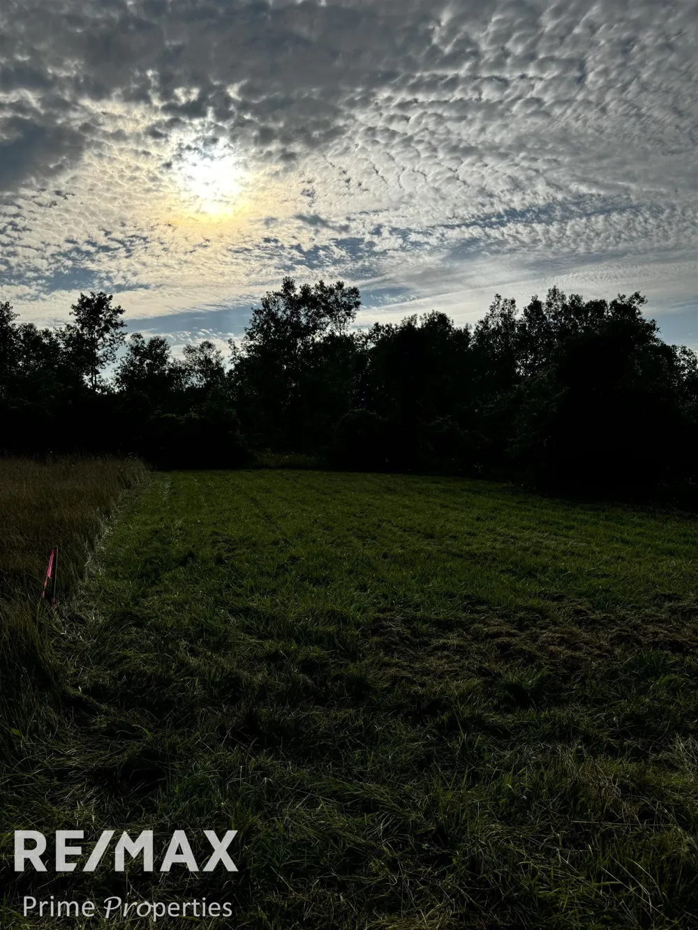 Sylvia Drive Worth Township, MI 48450