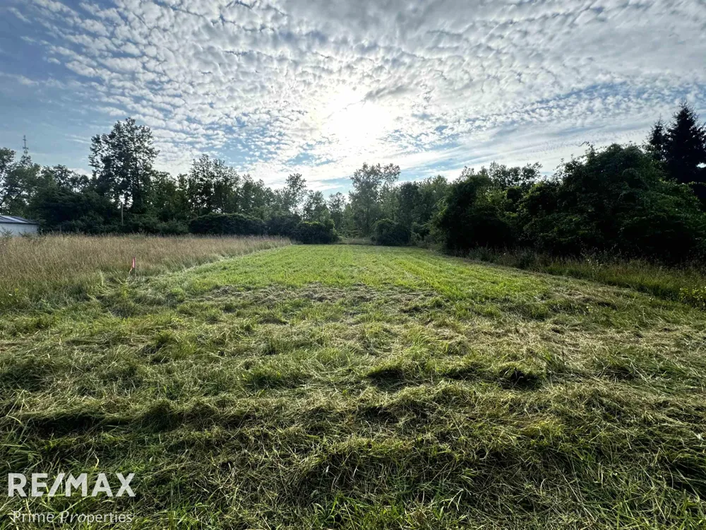 Sylvia Drive Worth Township, MI 48450