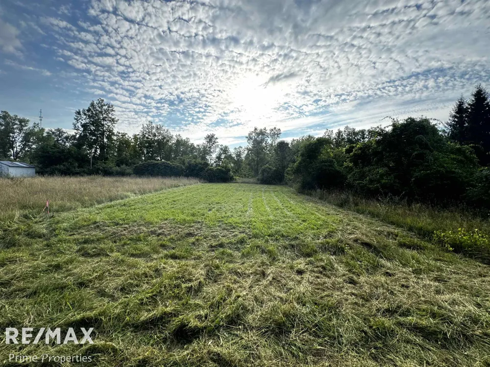 Sylvia Drive Worth Township, MI 48450