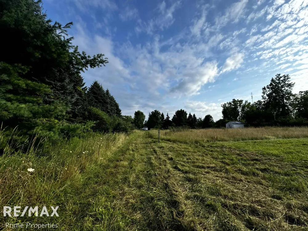 Sylvia Drive Worth Township, MI 48450