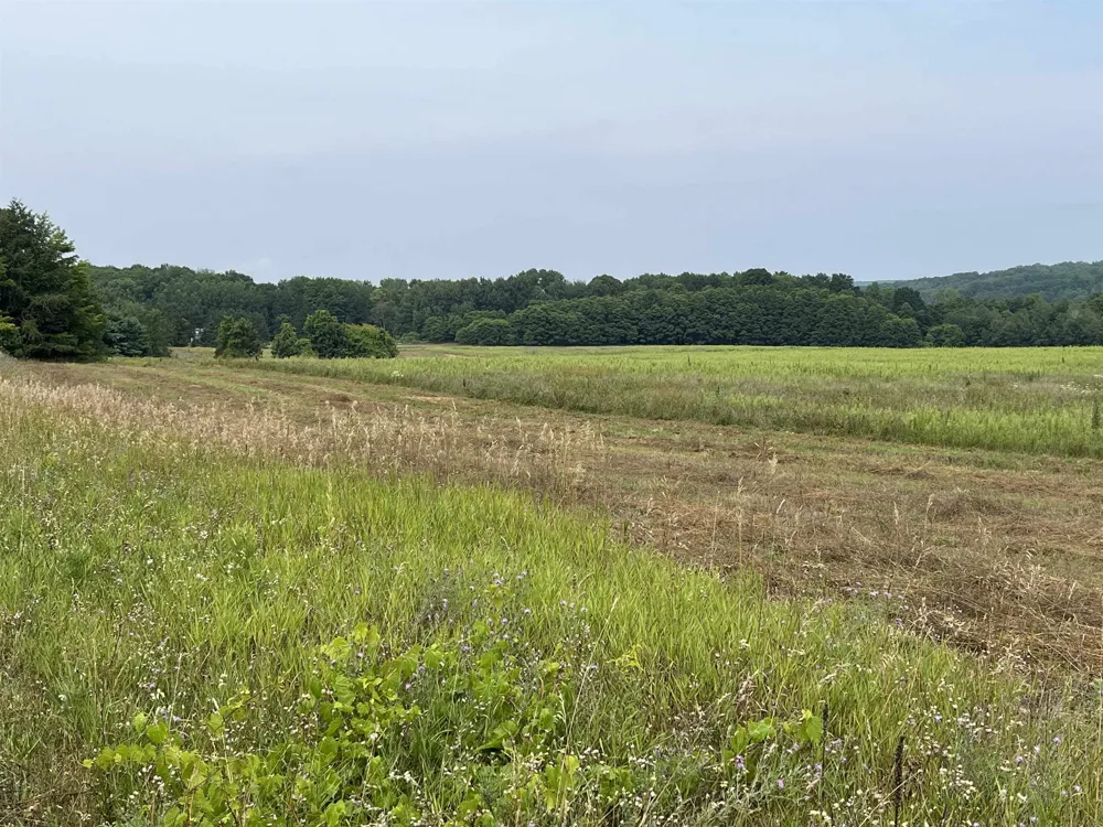 M-88 Central Lake Township, MI 49622