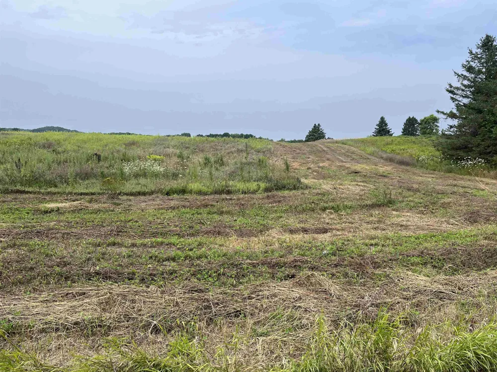 M-88 Central Lake Township, MI 49622
