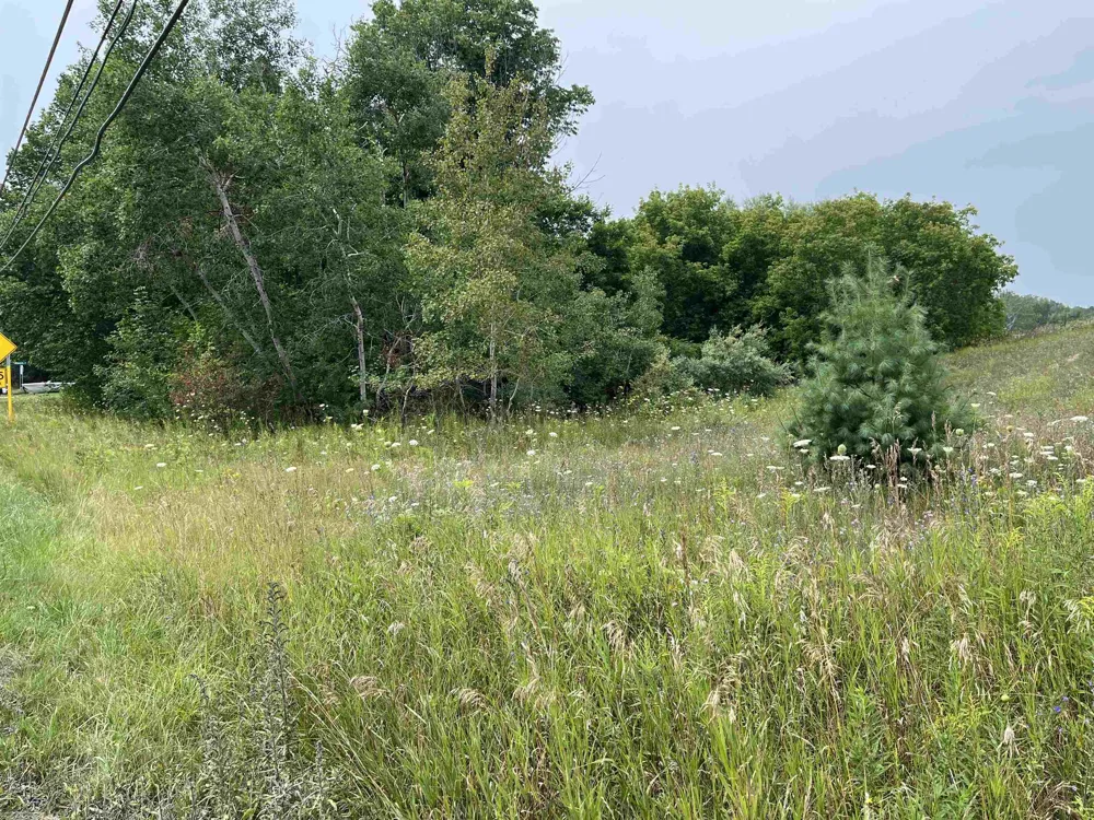 M-88 Central Lake Township, MI 49622