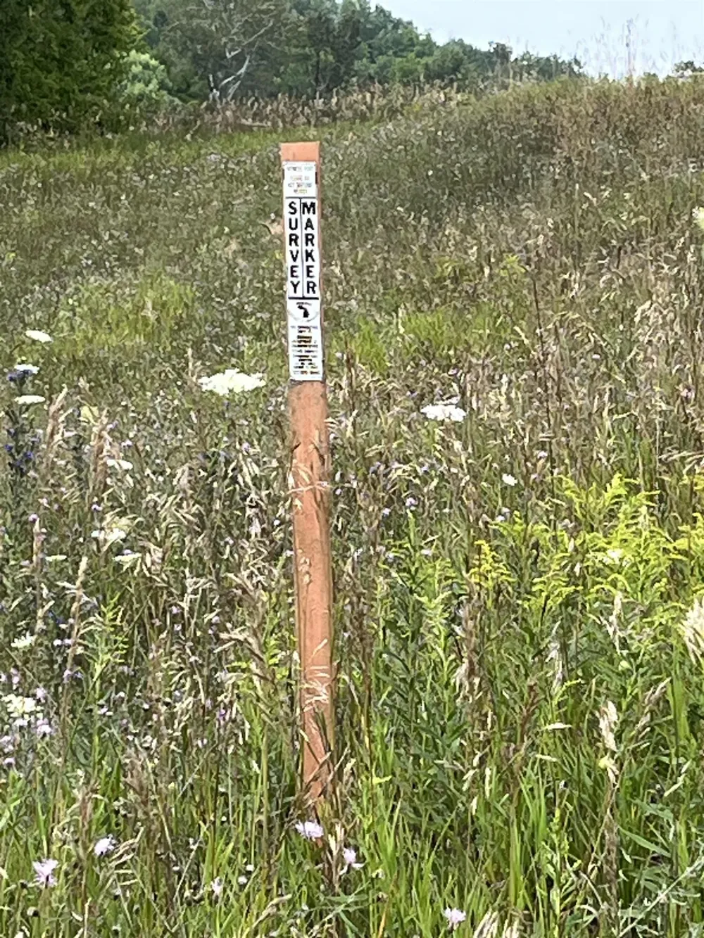 M-88 Central Lake Township, MI 49622