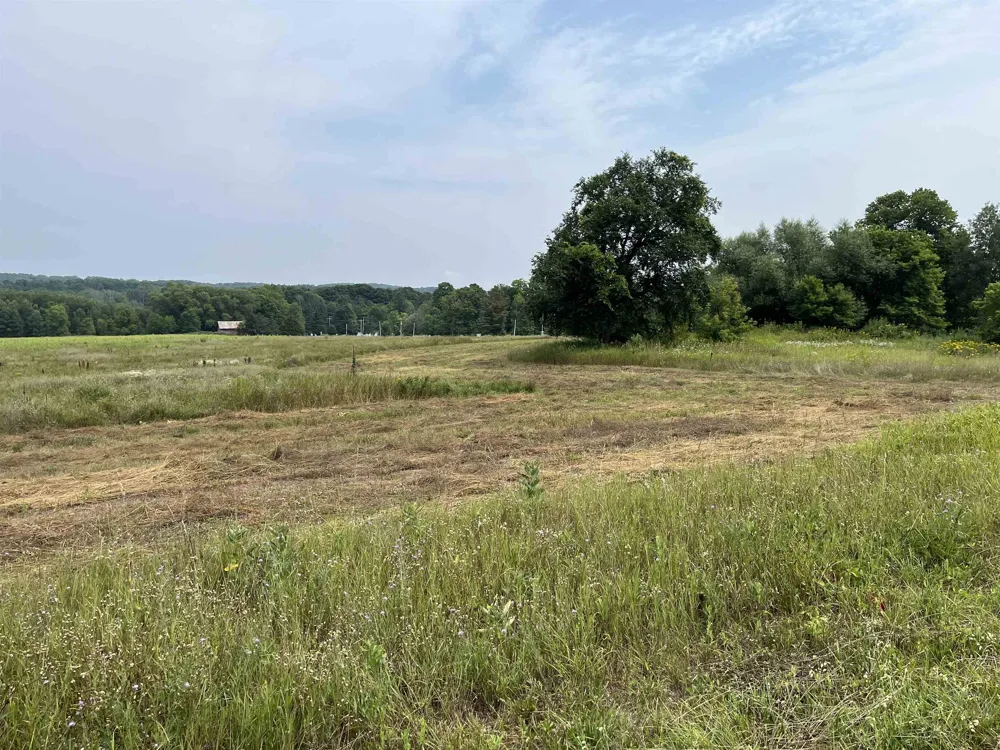 M-88 Central Lake Township, MI 49622