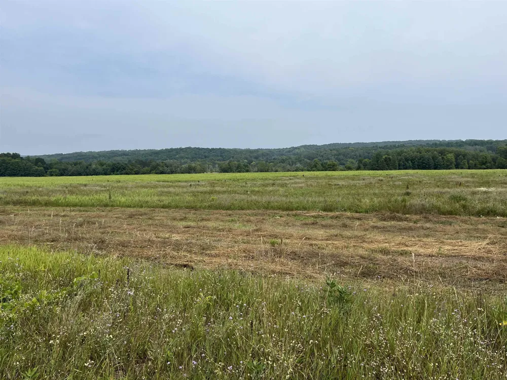 M-88 Central Lake Township, MI 49622