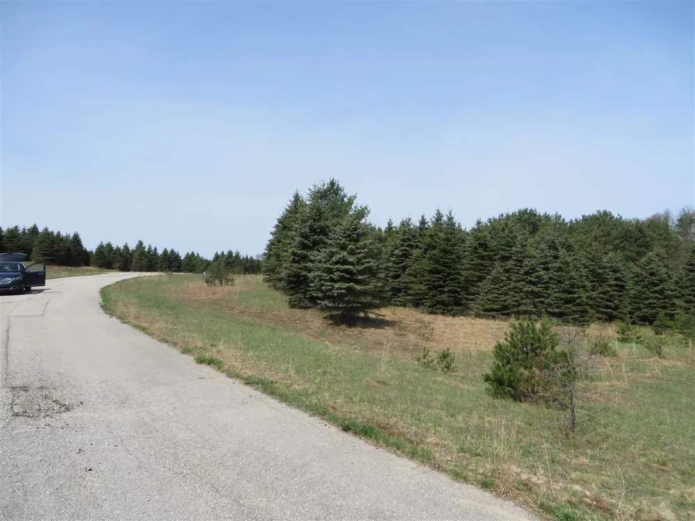 1 Spruce Hollow Trace Fife Lake Township, MI 49633