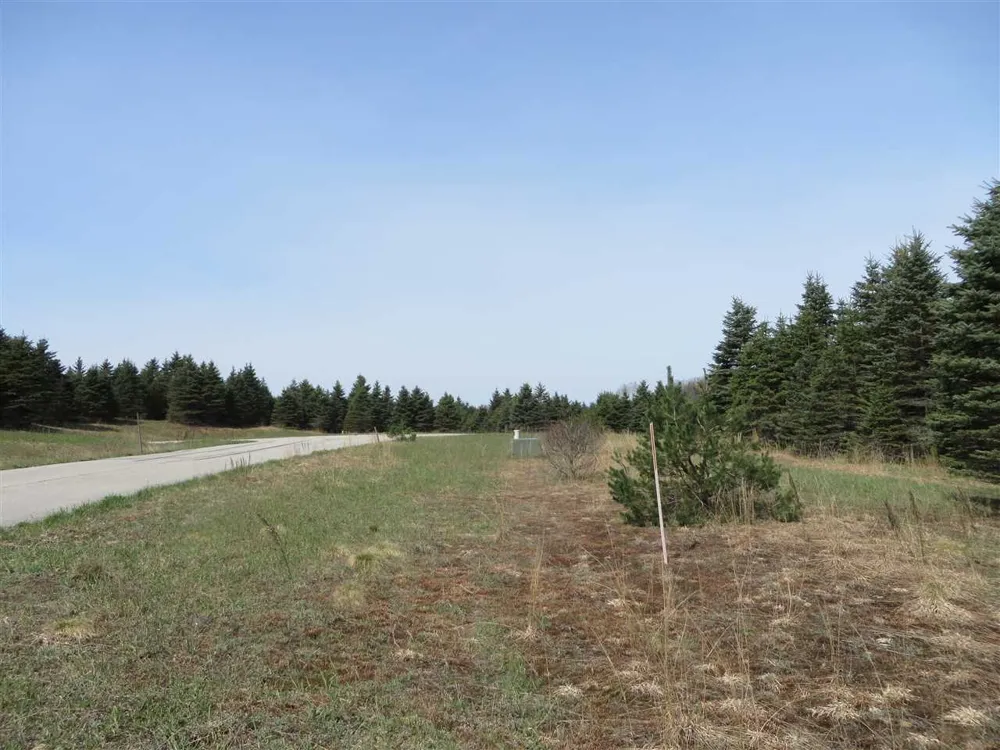 1 Spruce Hollow Trace Fife Lake Township, MI 49633