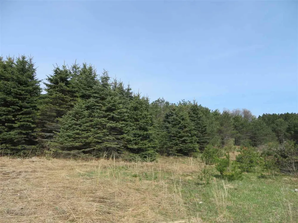 1 Spruce Hollow Trace Fife Lake Township, MI 49633