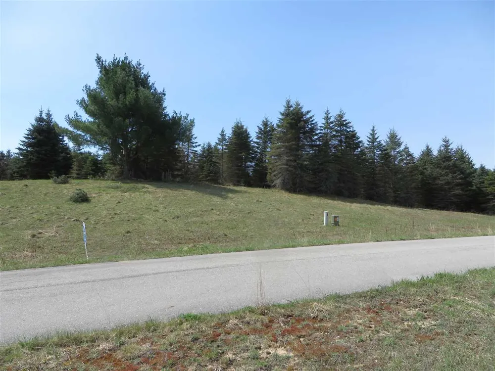 1 Spruce Hollow Trace Fife Lake Township, MI 49633