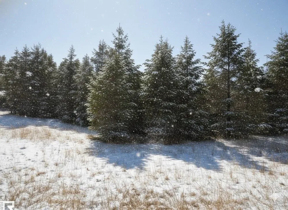 1 Spruce Hollow Trace Fife Lake Township, MI 49633