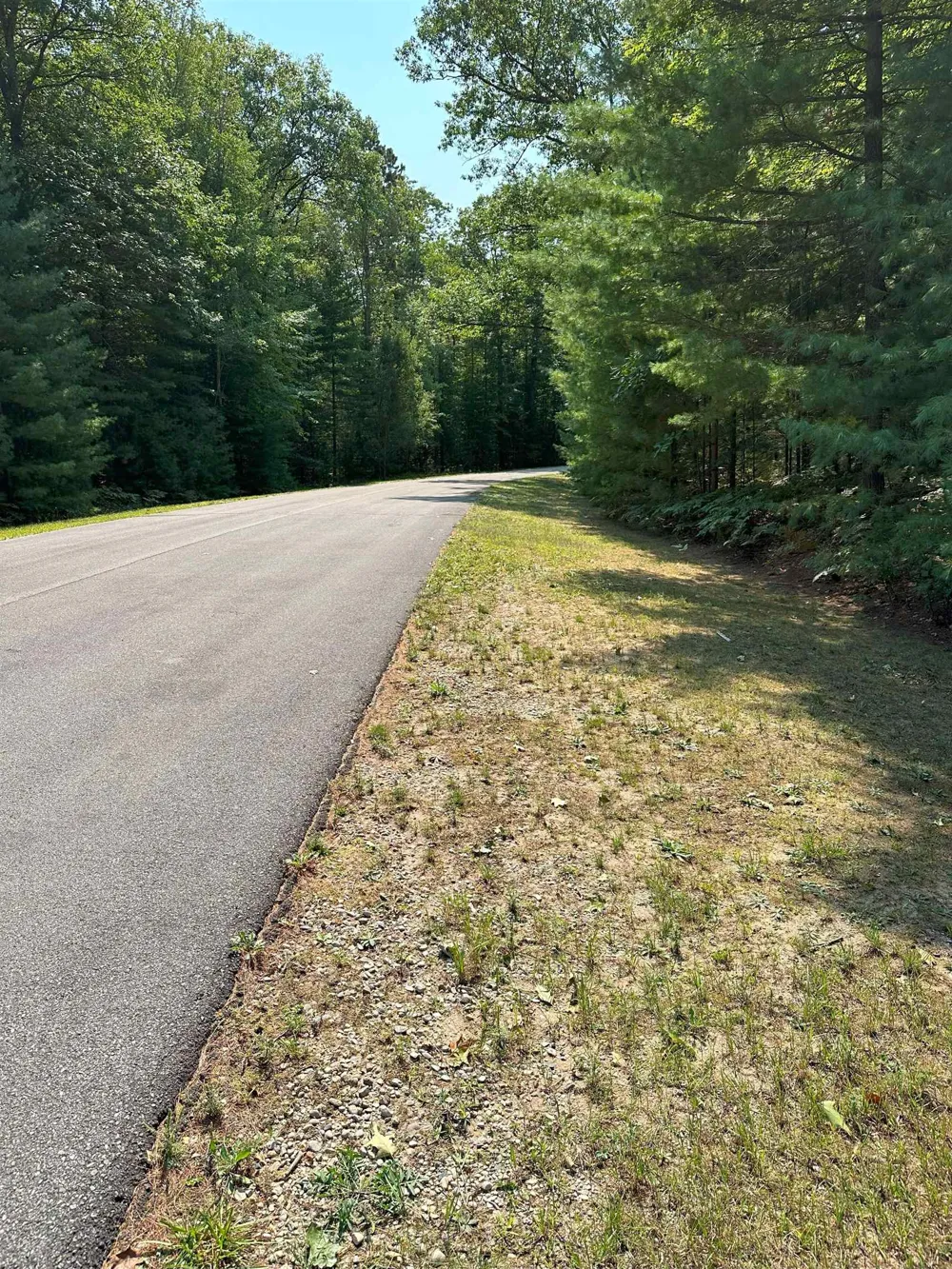 592 SE Blue Heron Drive Orange Township, MI 49646