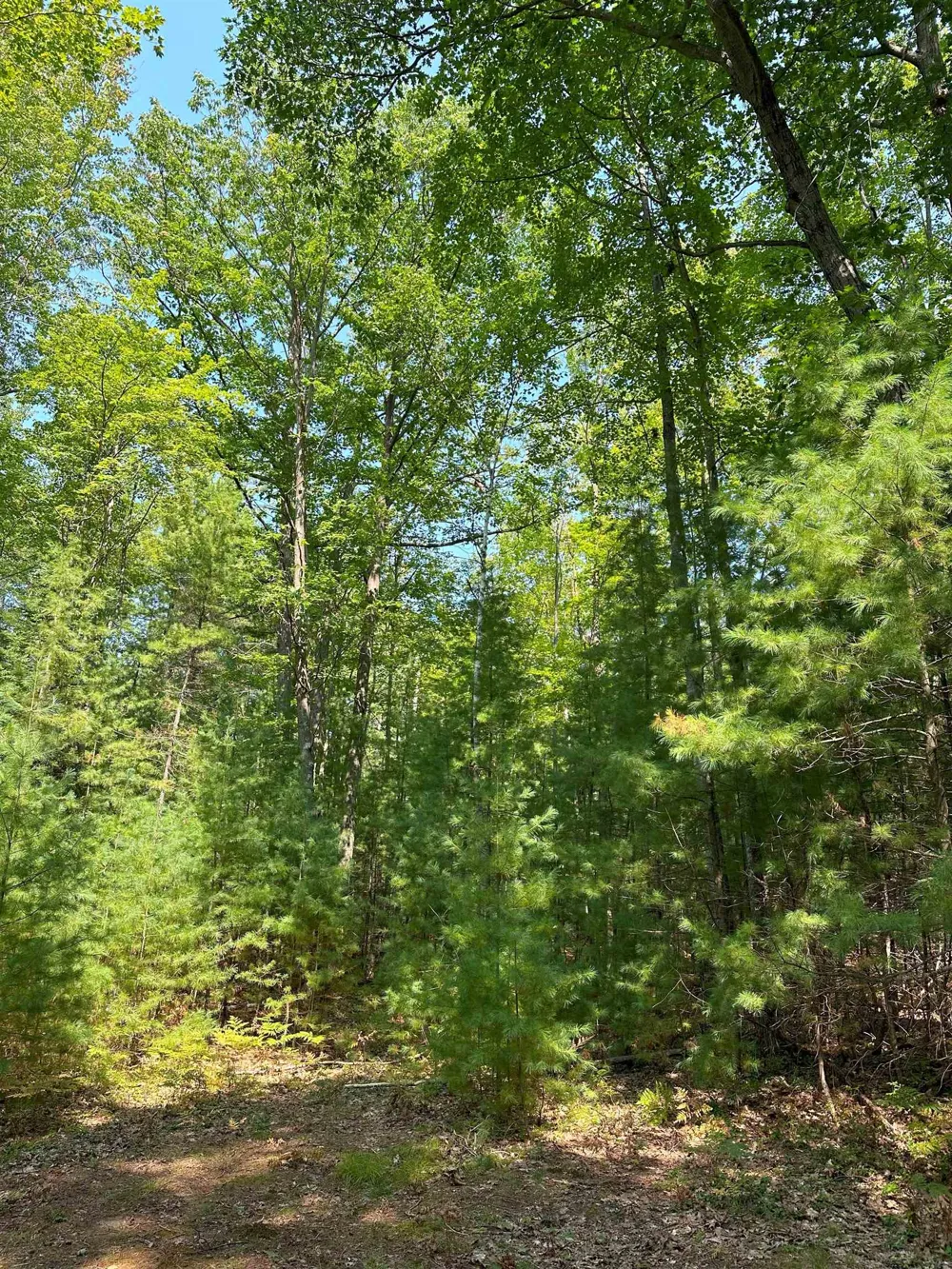 592 SE Blue Heron Drive Orange Township, MI 49646