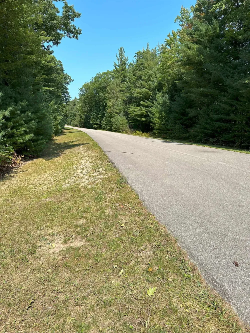 592 SE Blue Heron Drive Orange Township, MI 49646