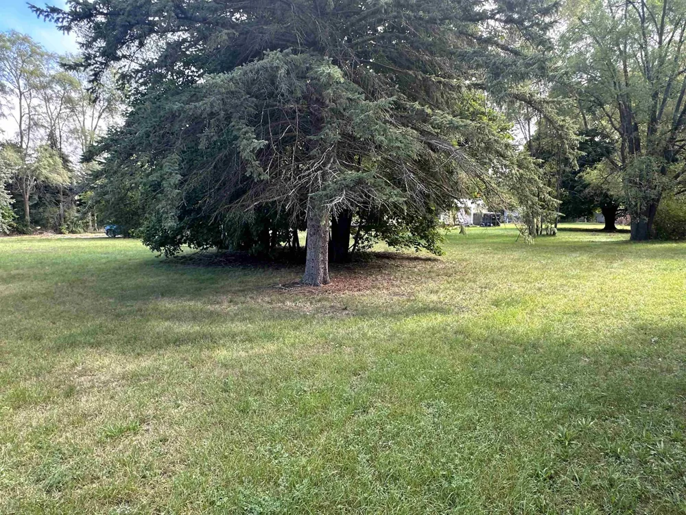 11253 Deer Lake Road Grant Township, MI 48617
