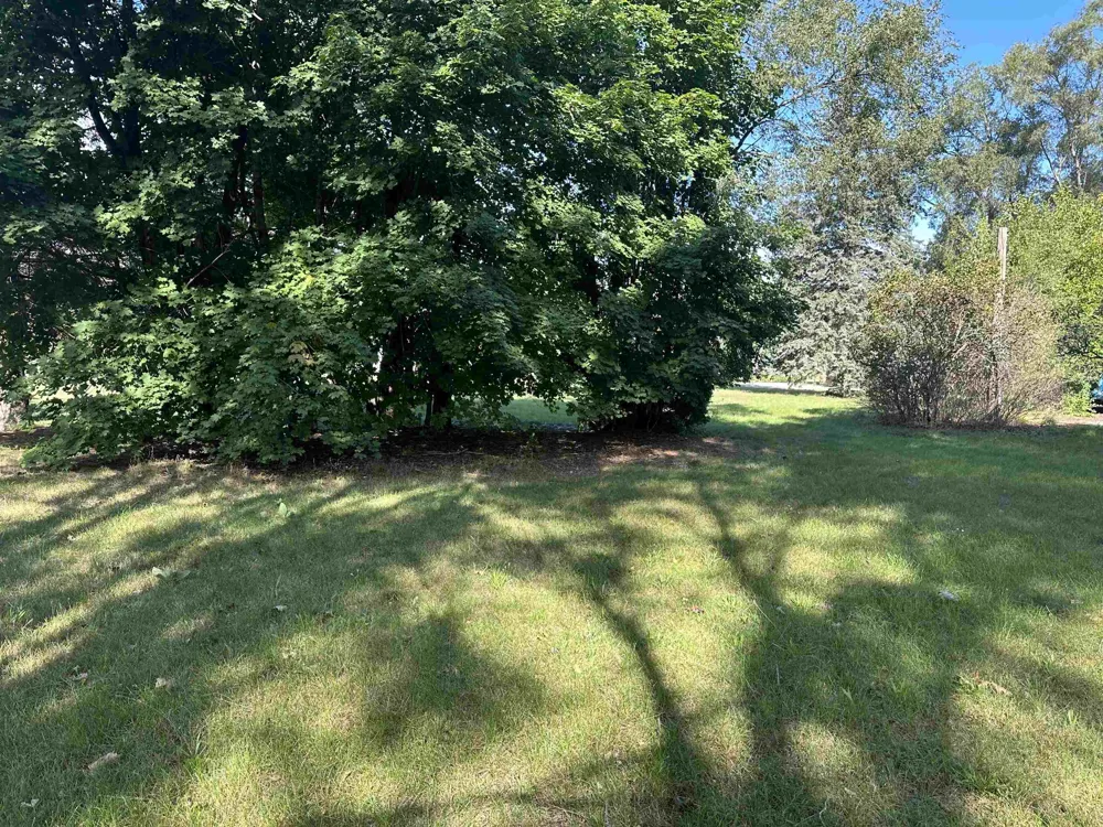 11253 Deer Lake Road Grant Township, MI 48617