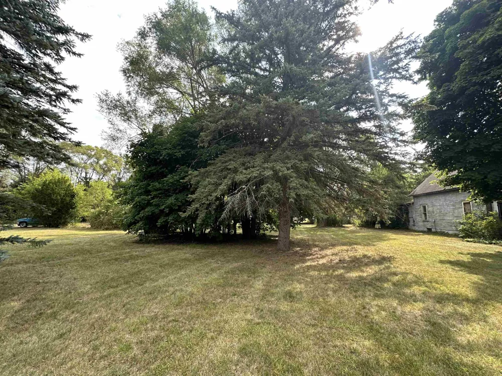 11253 Deer Lake Road Grant Township, MI 48617