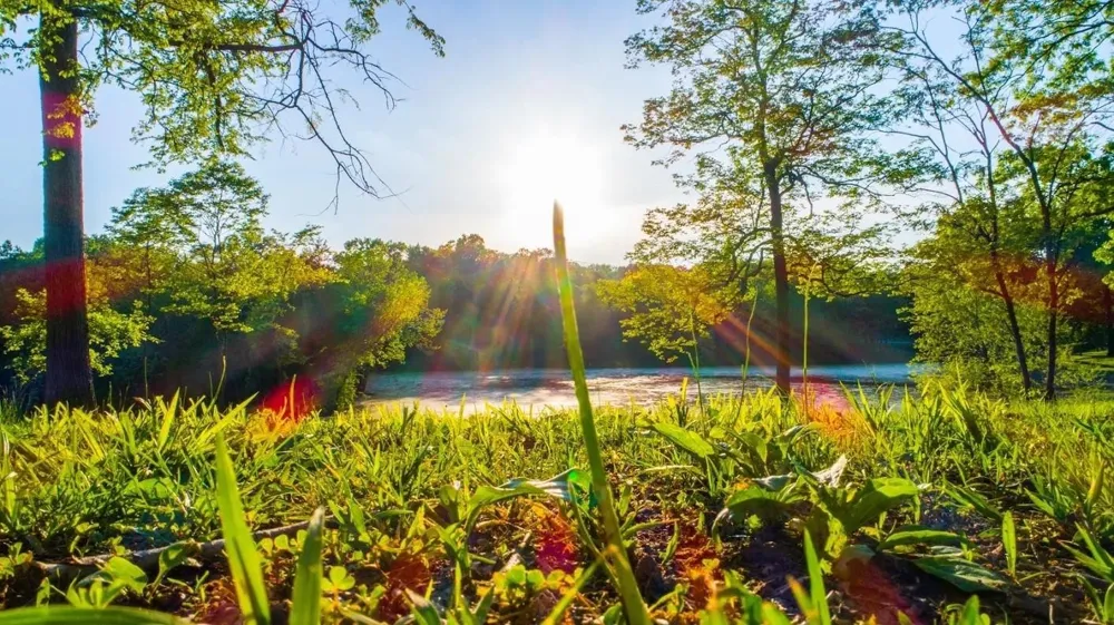 0 Forest Retreat Rd Hendersonville, TN 37075