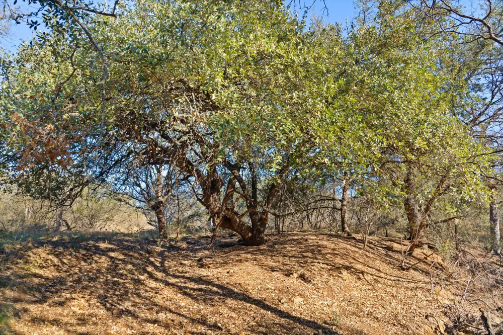 432 Sandy Mountain Drive Sunrise Beach, TX 78643