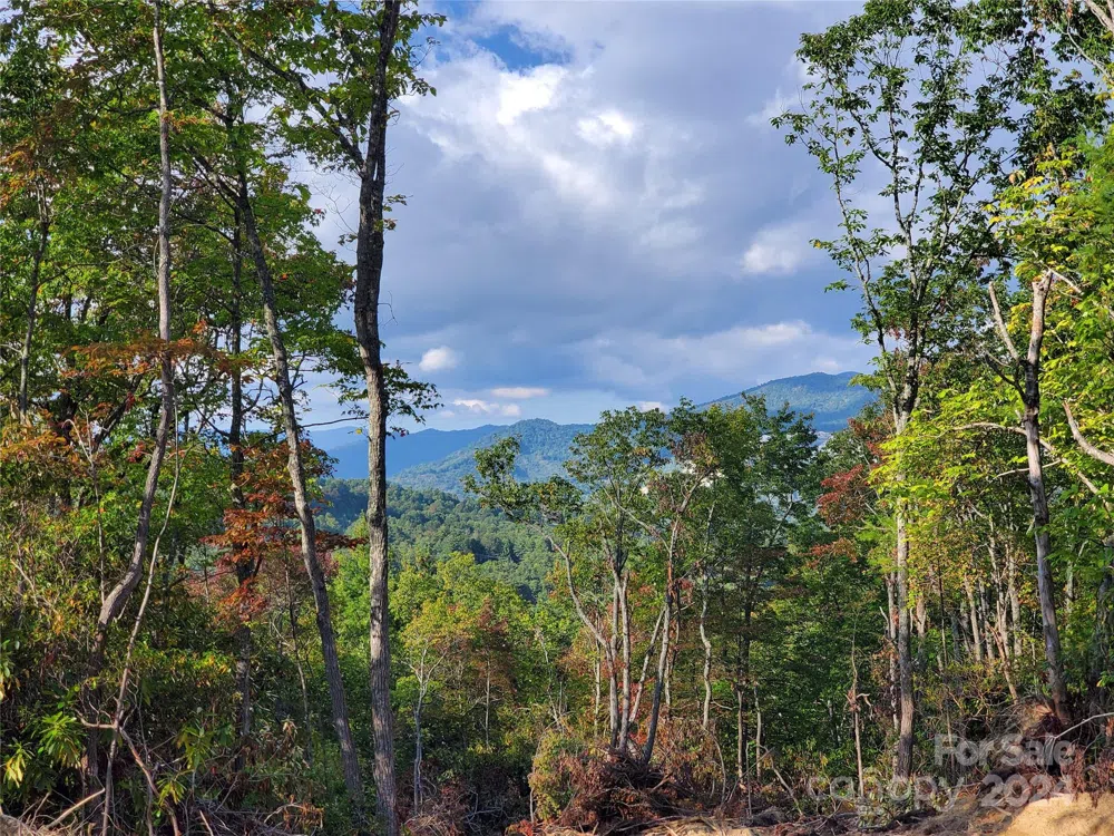 TBD Parkwood Hill Road Spruce Pine, NC 28777