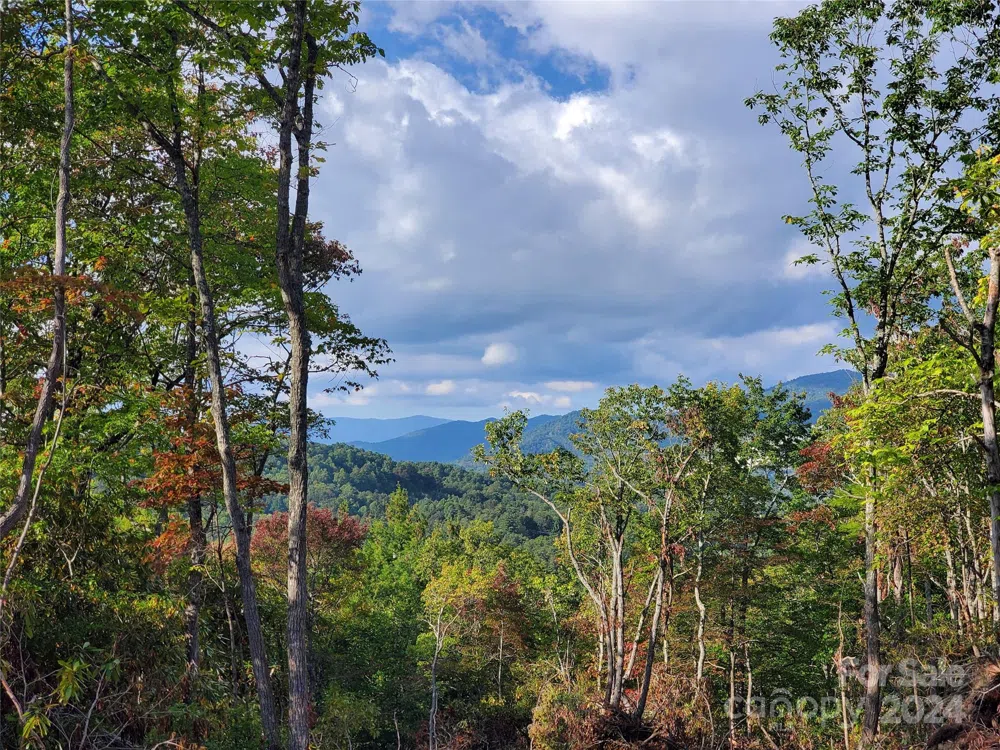 TBD Parkwood Hill Road Spruce Pine, NC 28777