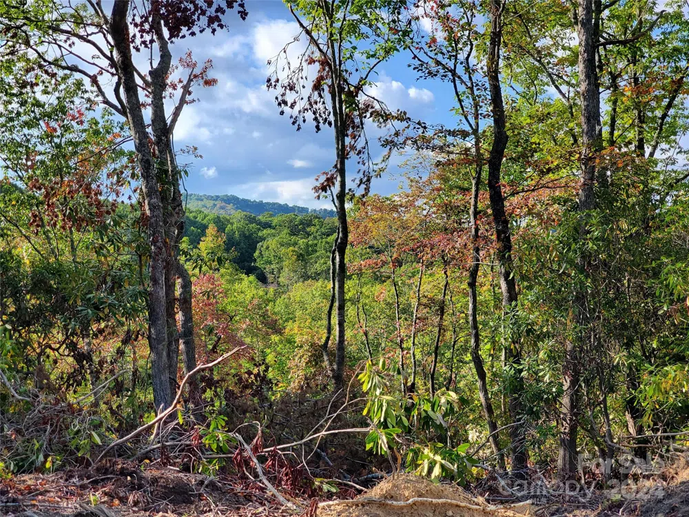 TBD Parkwood Hill Road Spruce Pine, NC 28777