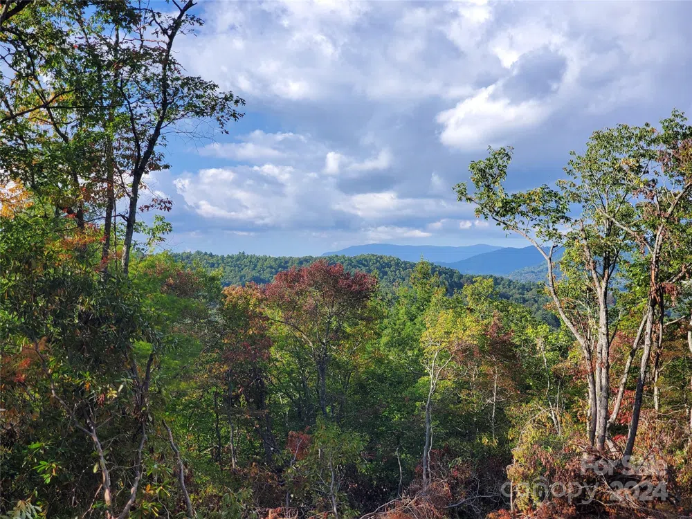 TBD Parkwood Hill Road Spruce Pine, NC 28777