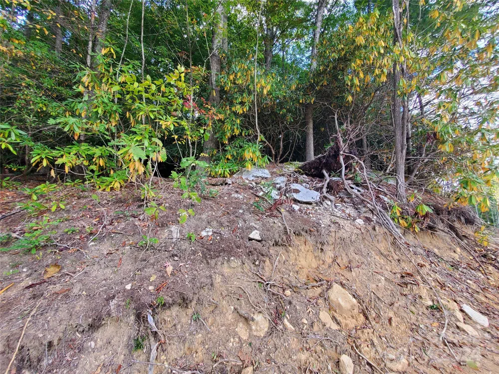 TBD Parkwood Hill Road Spruce Pine, NC 28777