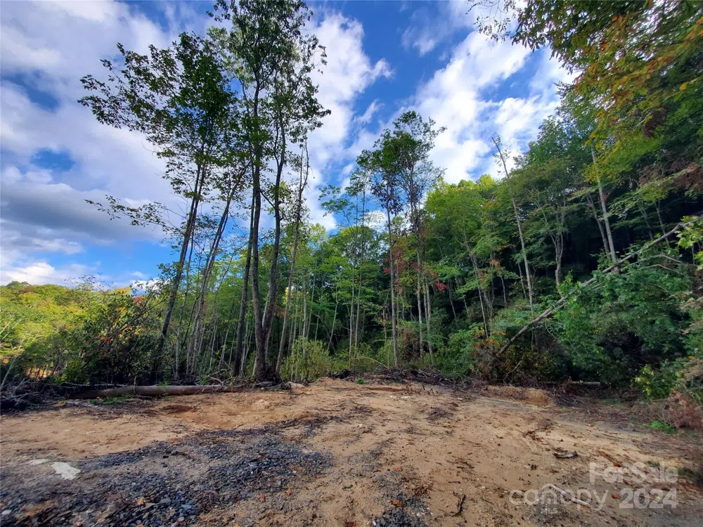 TBD Parkwood Hill Road Spruce Pine, NC 28777