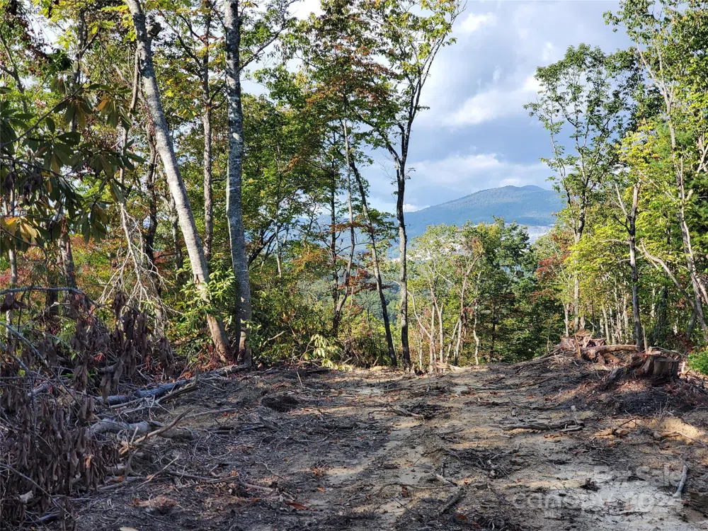 TBD Parkwood Hill Road Spruce Pine, NC 28777